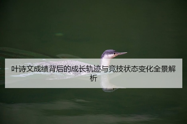 叶诗文成绩背后的成长轨迹与竞技状态变化全景解析